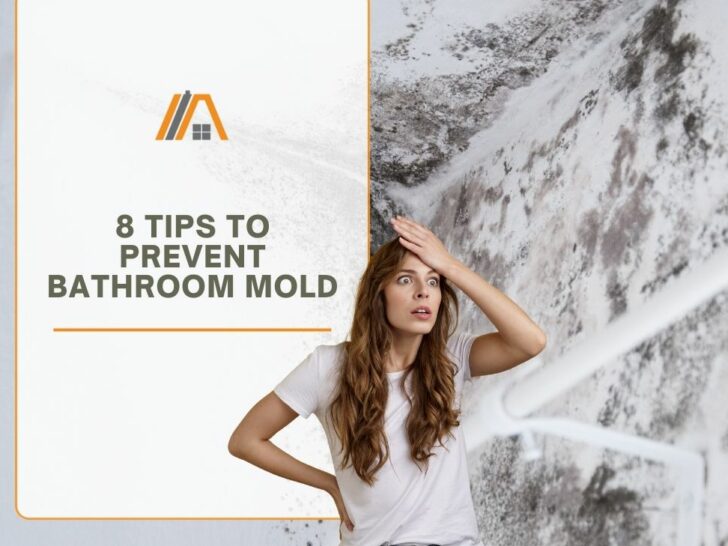 0004-8-Tips-To-Prevent-Bathroom-Mold