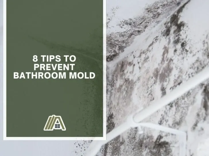 0004-8 Tips To Prevent Bathroom Mold