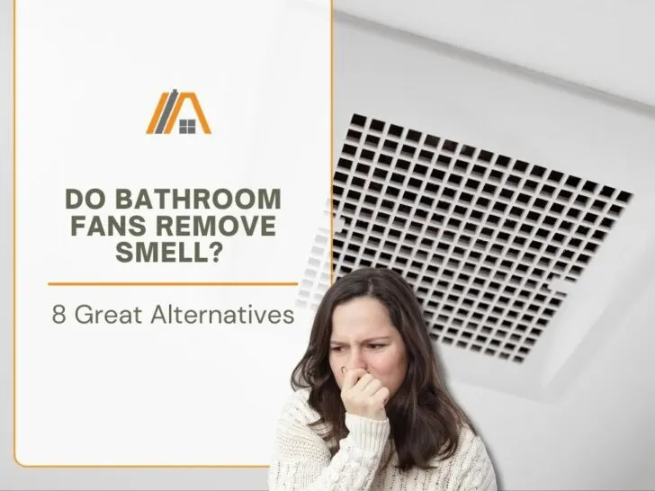 44_Do Bathroom Fans Remove Smell_ (8 Great Alternatives).jpg