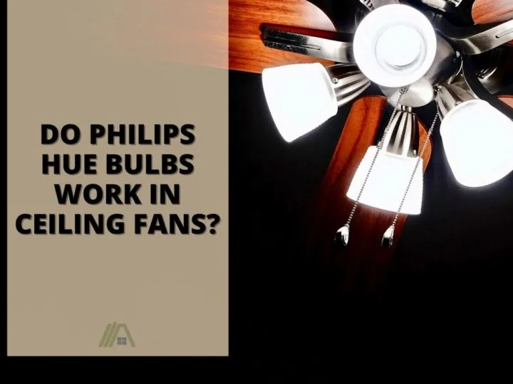 64_Ceiling Fan_Do Philips hue bulbs work in ceiling fans