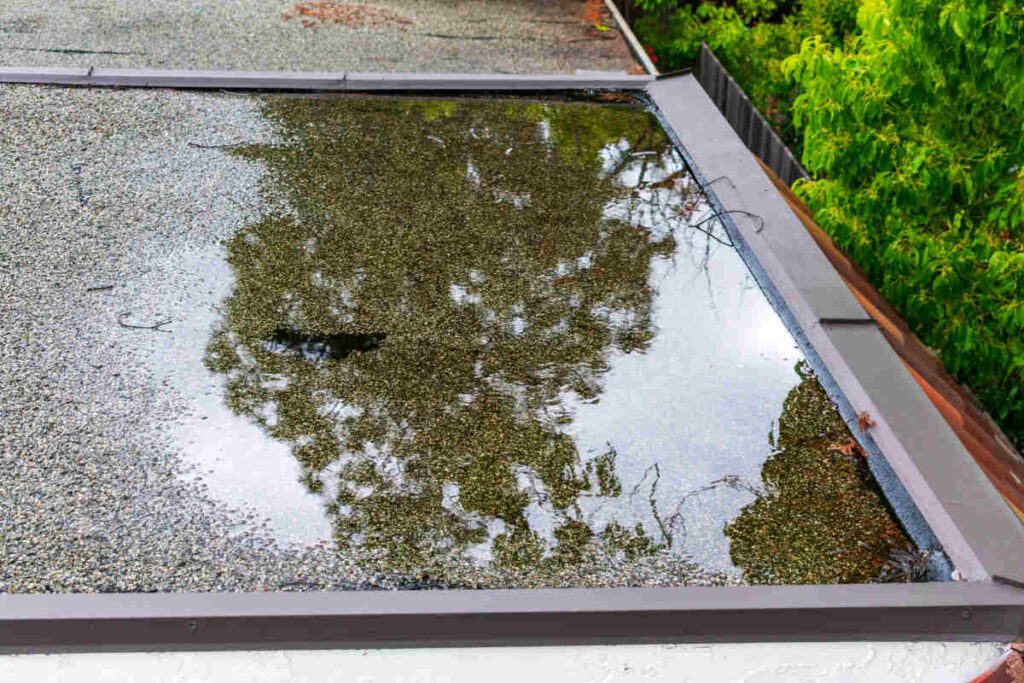 Ponding or pool of water on a flat roof
