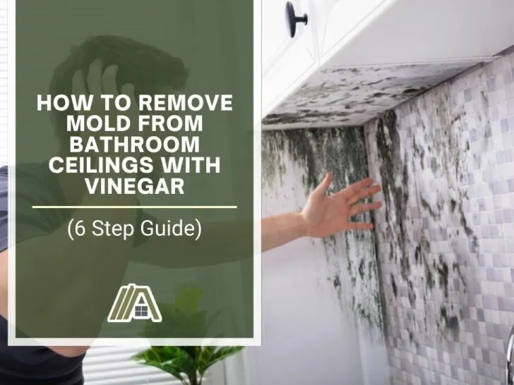 How to Remove Mold From Bathroom Ceilings With Vinegar (6 Step Guide).jpg