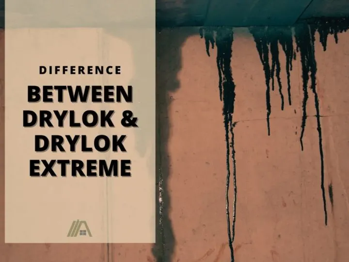 Moist and water seeping through a cement wall and ceiling; Difference Between Drylok and Drylok Extreme
