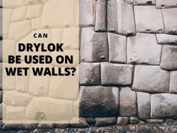 wall with water oozing from the cracks and has wet parts especially near the ground; Can Drylok Be Used on Wet Walls?