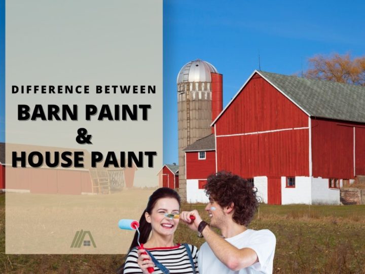 Couple playing with paint; Difference Between Barn Paint and House Paint (With Table)