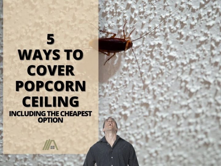 Man looking up at popcorn-finished wall/ceiling and a cockroach; 5 Ways to Cover Popcorn Ceiling (Including cheapest option)