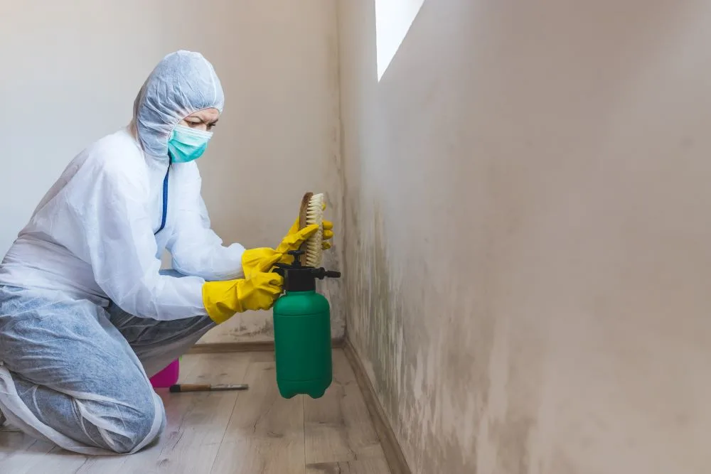 Female worker of cleaning service removes the mold using antimicrobial spray and scrubbing brush
