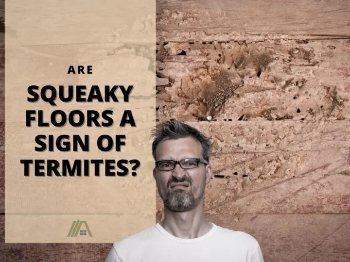 Man with a disgusted look; Termites on rotting wood; Are Squeaky Floors a Sign of Termites?