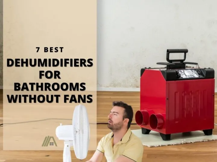 416_Rooms-Bathroom_7 Best Dehumidifiers for a Bathroom Without Fan