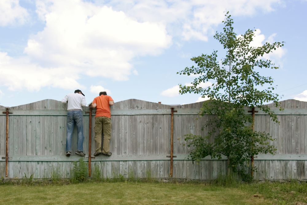 Two boys on the fence looking for something