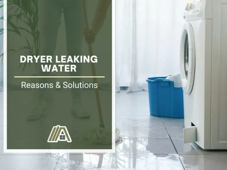 576_Dryer Leaking Water_ Reasons & Solutions.jpg
