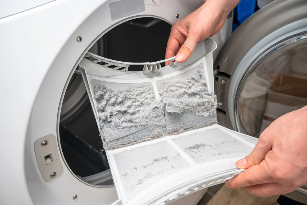 Dust and dirt trapped by the clothes dryer filter clean dirty filter