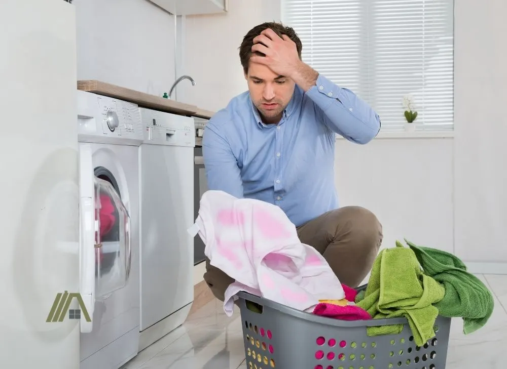 Washer Dryer Pros and Cons - The Tibble