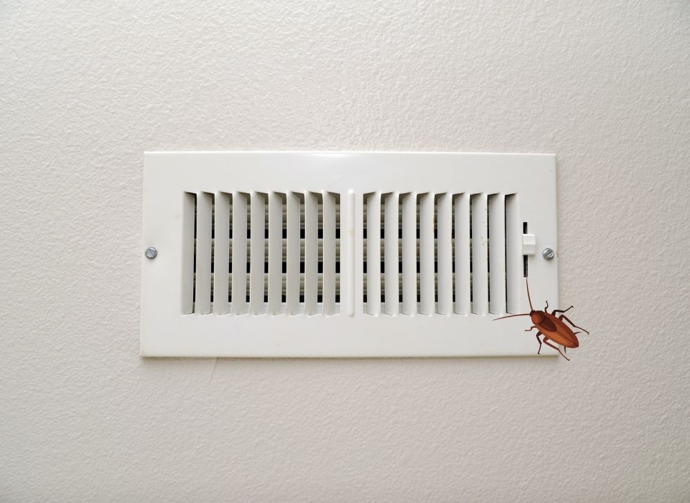 vent with insect
