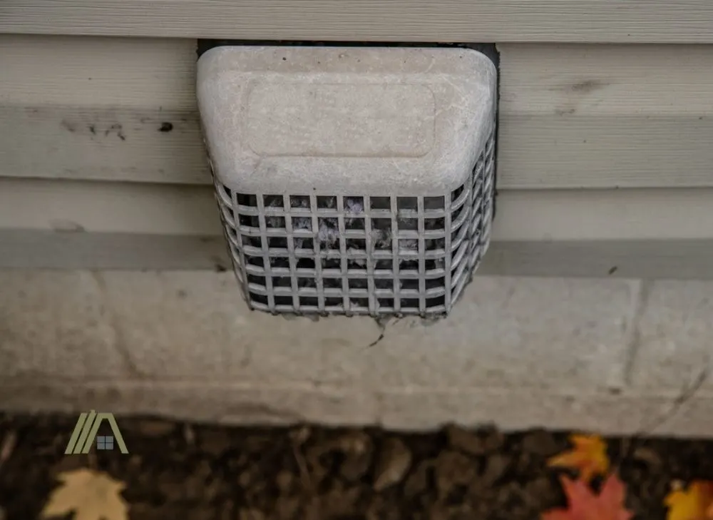 outdoor dryer vent without screen
