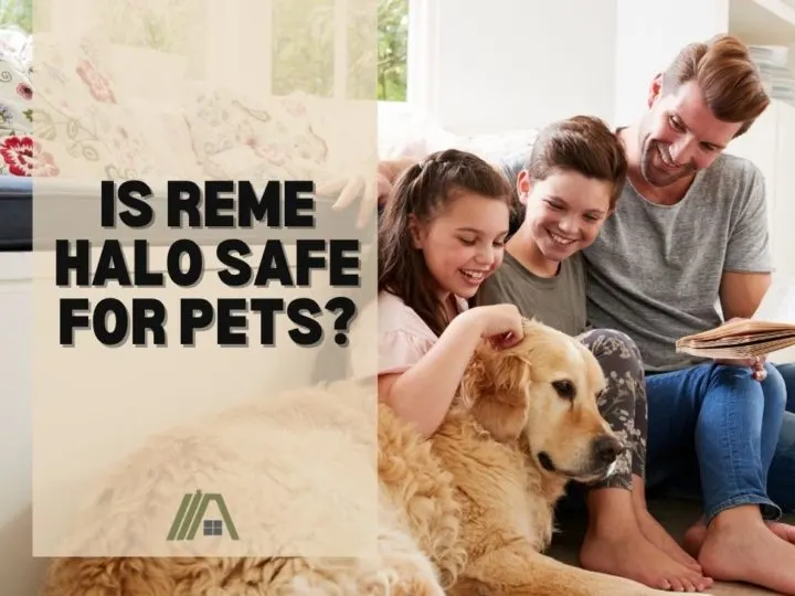 Is Reme Halo Safe for Pets