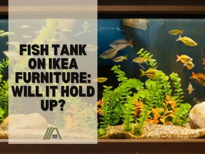 Fish Tank on IKEA Furniture_ Will It Hold Up?