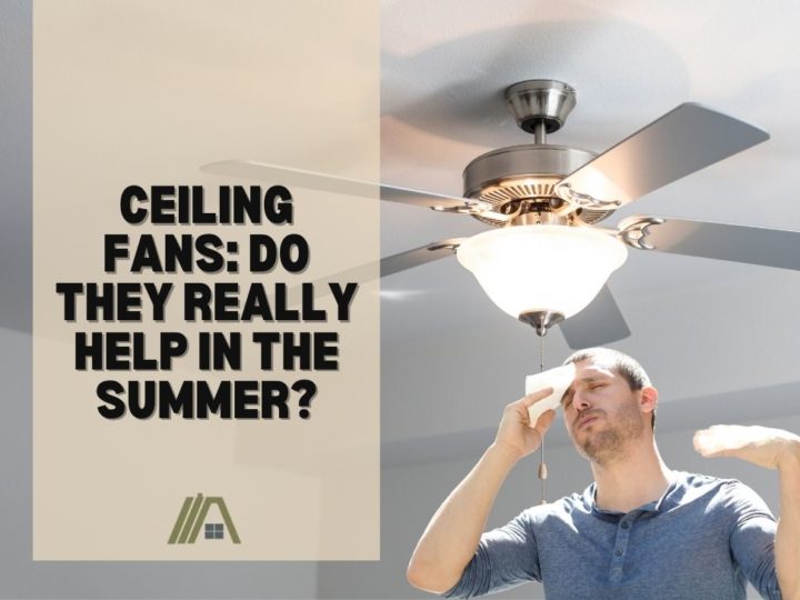 Ceiling Fans Do They Really Help in the Summer