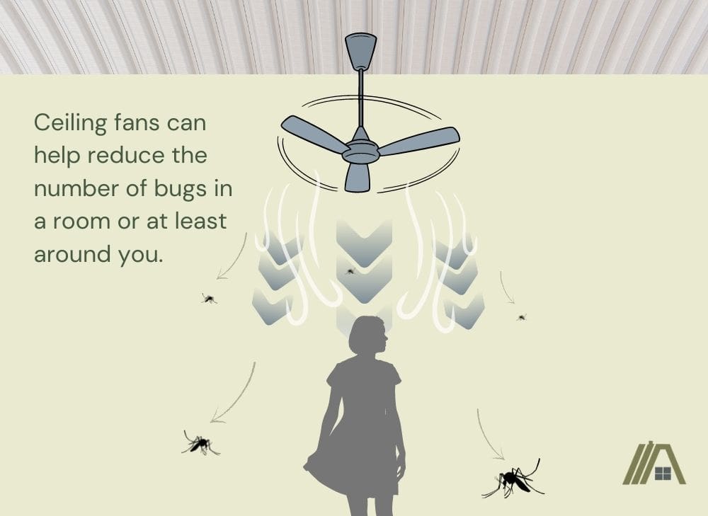 Ceiling fans can help reduce the number of bugs in a room or at least around you