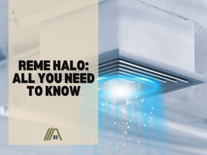 Reme Halo_ All You Need to Know
