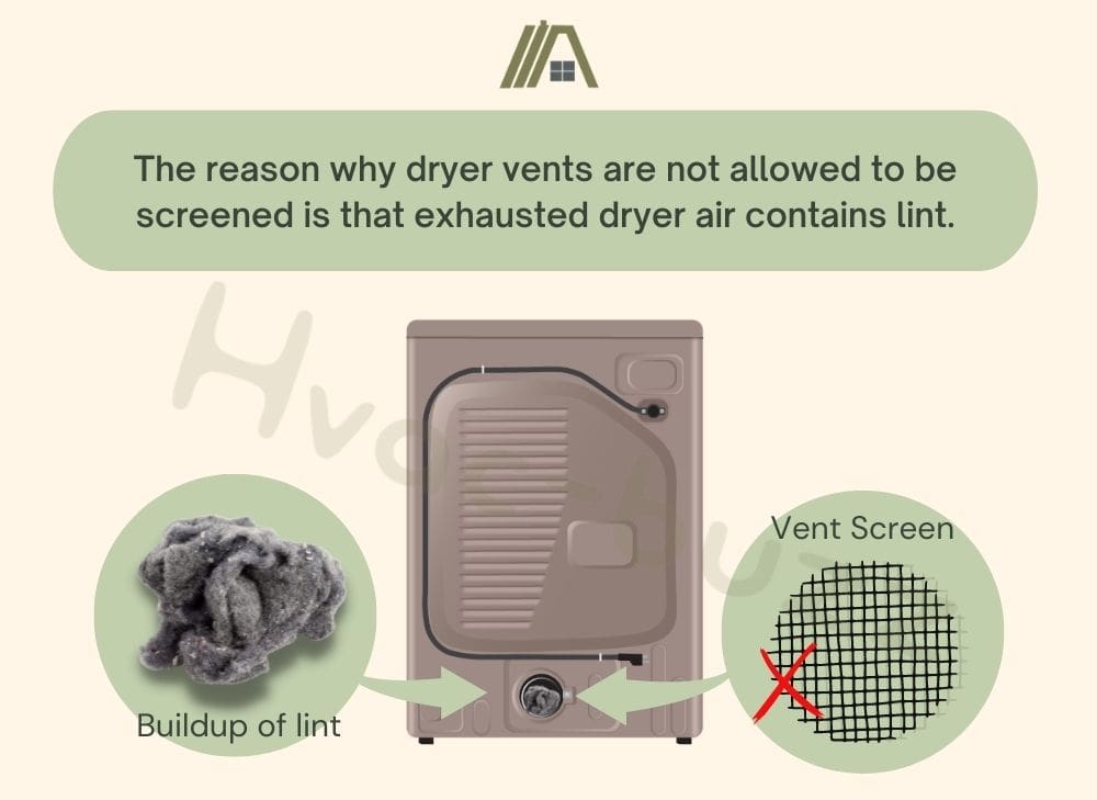 Dryer vents are not allowed to be screened due to exhausted dryer air that contains lint, illustration of the back of a dryer with lint in the exhaust duct