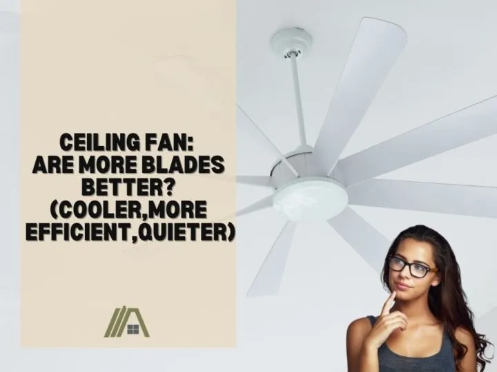 Ceiling Fan_ Are More Blades Better_(Cooler,More Efficient,Quieter)