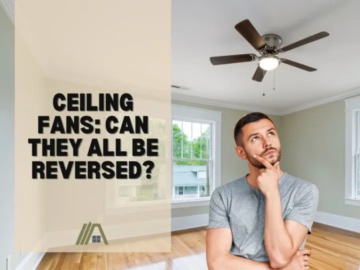 Ceiling Fans_ Can They All Be Reversed