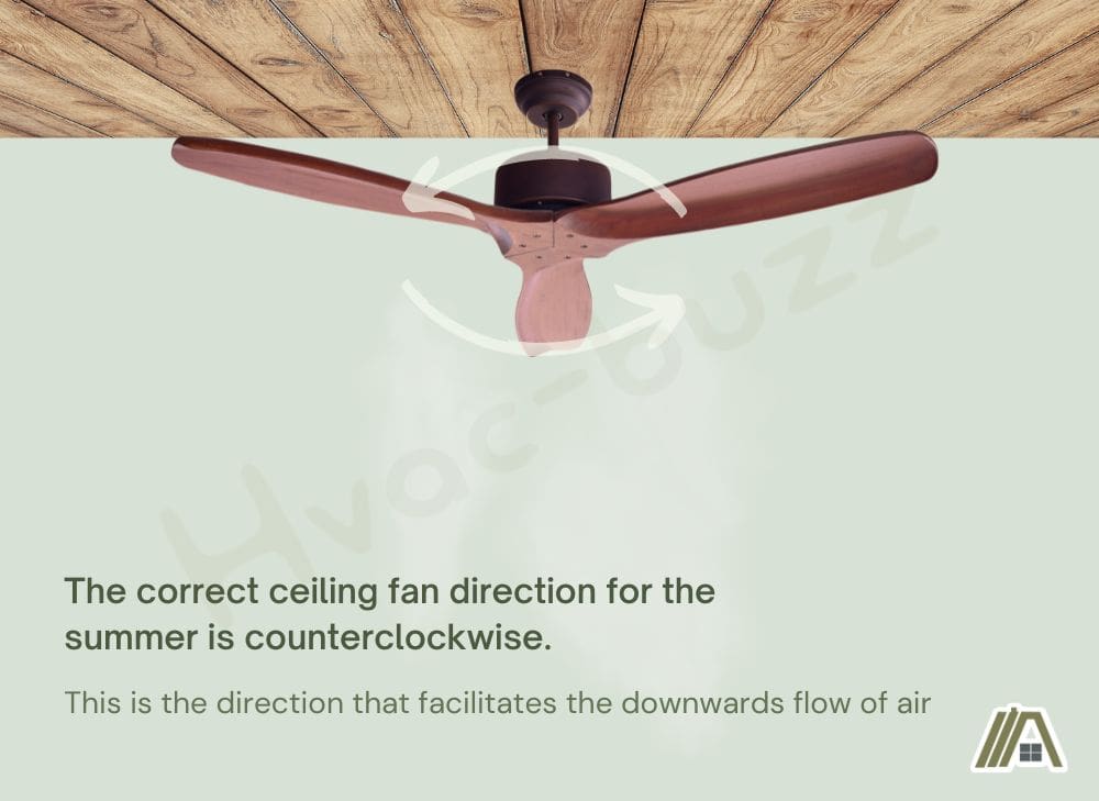 The correct ceiling fan direction for the summer is counterclockwise, infographic of a ceiling fan rotating counterclockwise