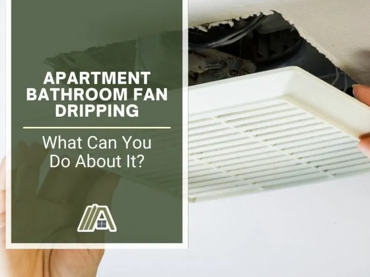 Apartment Bathroom Fan Dripping _ What Can You Do About It