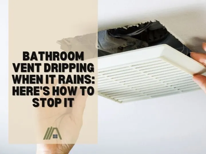 Bathroom Vent Dripping When It Rains_ Here's How to Stop It