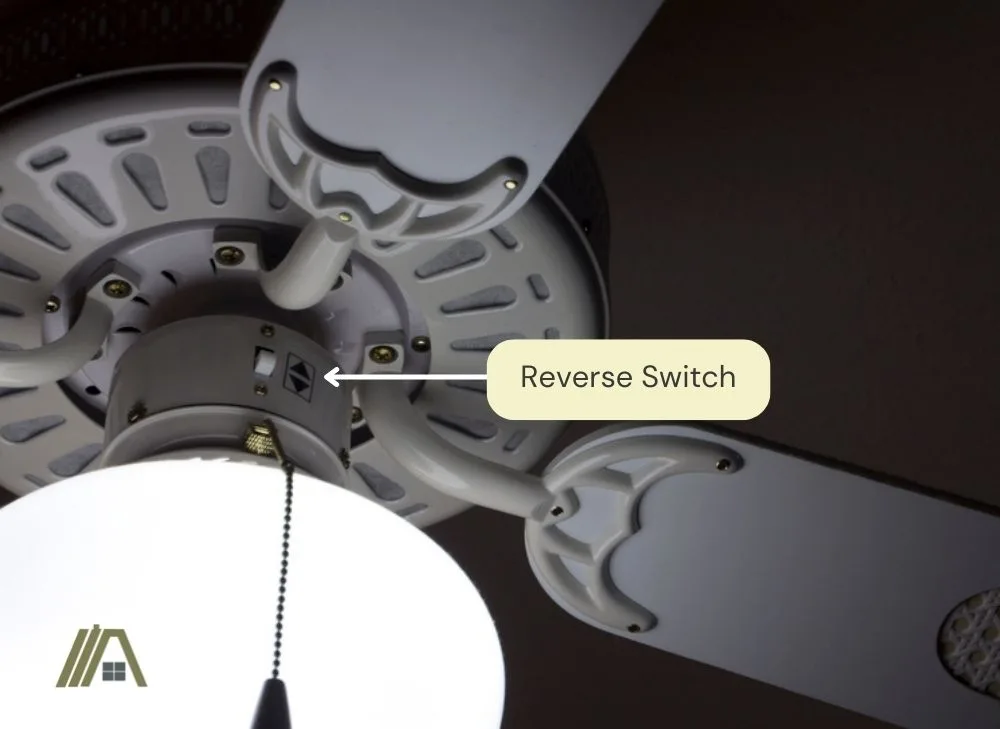 A white ceiling fan with reverse switch
