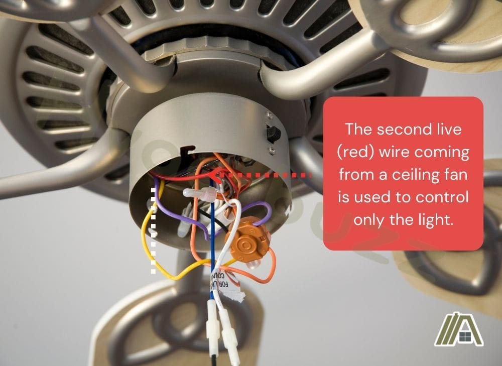 Ceiling fan with different wires connected to it with a text saying "the second live red wire controls the light"