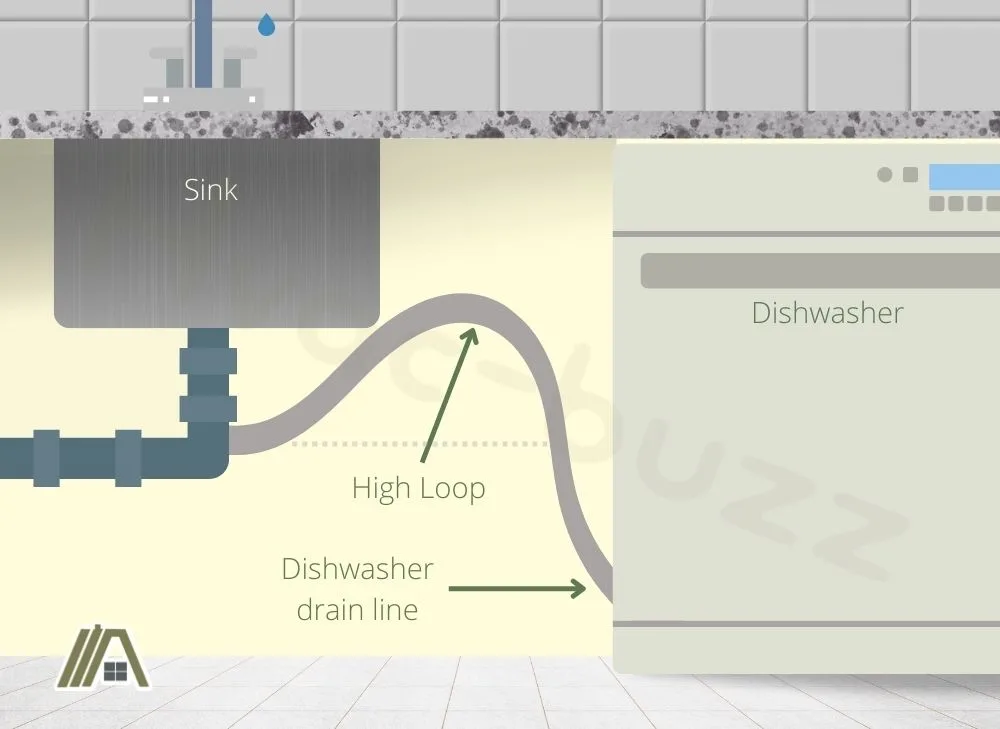 High loop of dishwasher drain line illustration