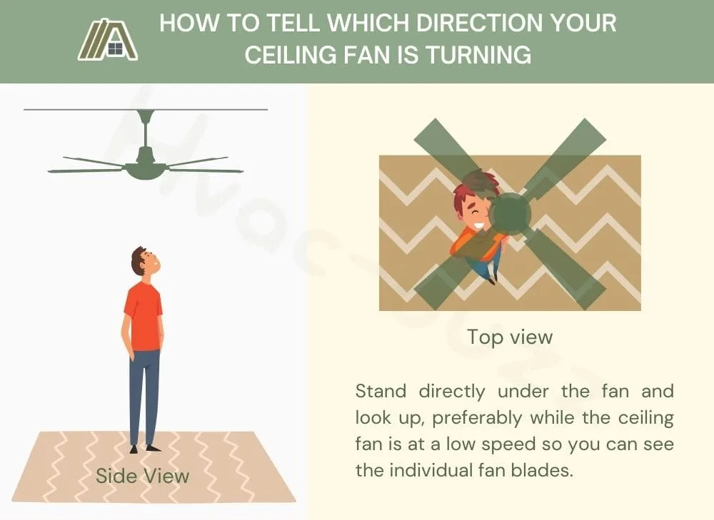 How to tell which direction your ceiling fan is turning
