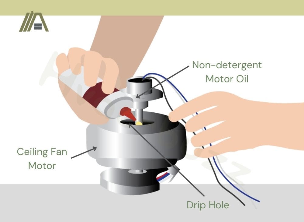 Lubricating the ceiling fan motor with non-detergent motor oil