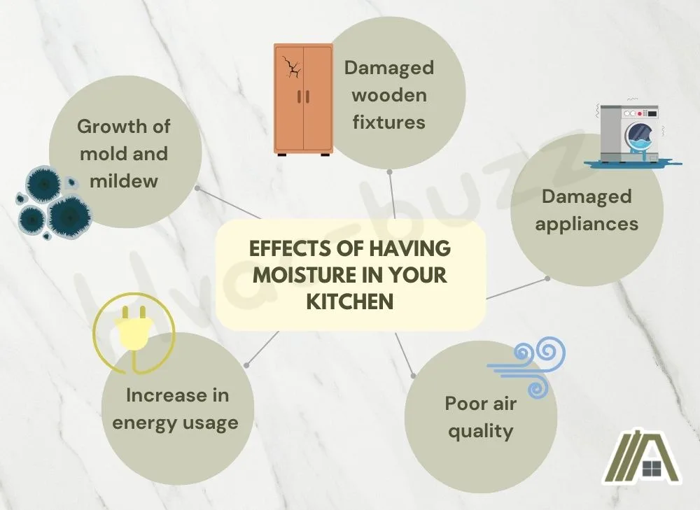 Effects of having moisture in your kitchen: Growth of mold and mildew, damaged  wooden fixtures, damaged appliances, poor air quality and increase in energy usage