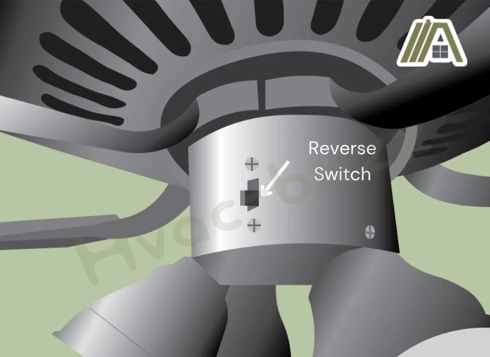 Illustration-of-a-ceiling-fan-showing-the-reversible-switch