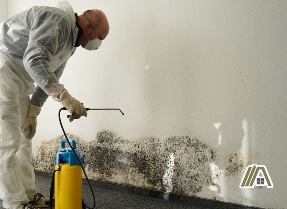 Man cleaning the mold on the white wall