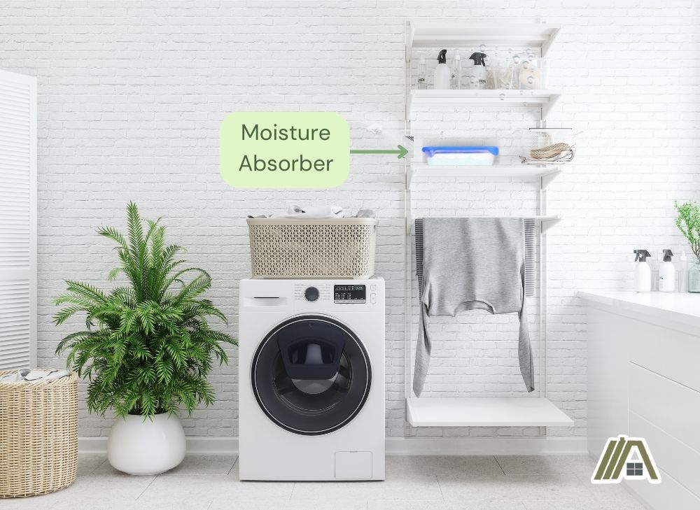 Moisture absorber in a modern white laundry room with plants