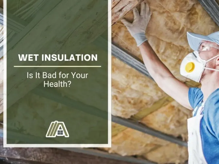 Wet Insulation _ Is It Bad for Your Health