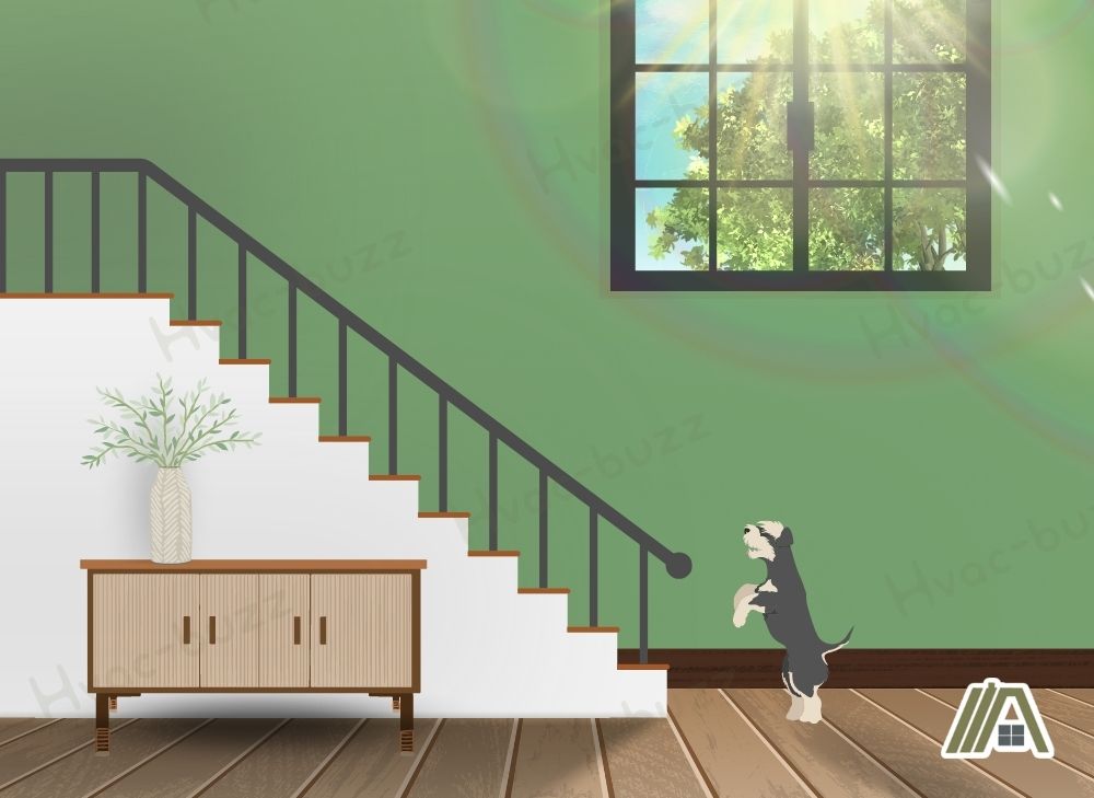 Dog trying to go up the stairs on a sunny day illustration