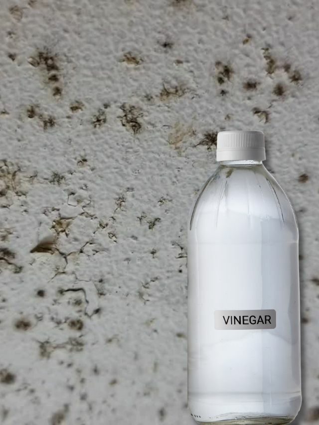 Remove Mold From Bathroom Ceilings With Vinegar