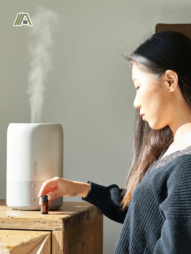 How Humidifiers Affect Room Temperature