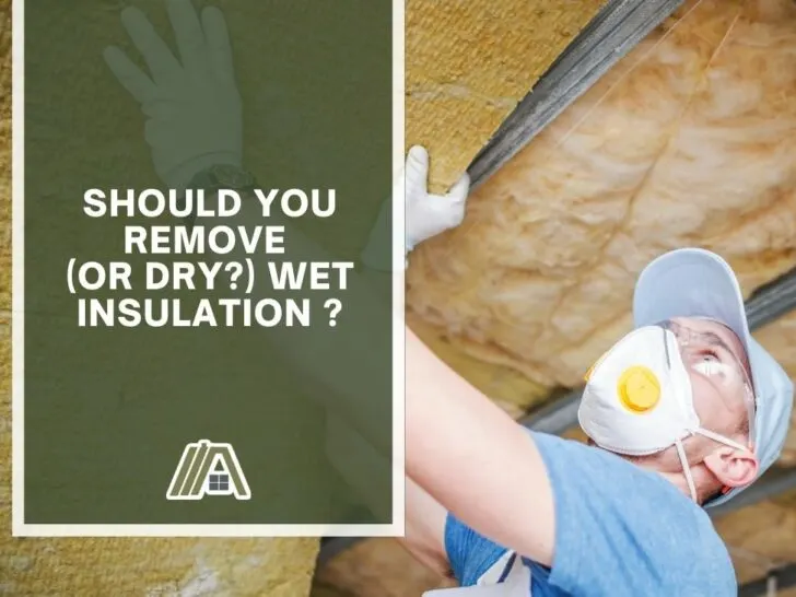 Should You Remove (or Dry_) Wet Insulation