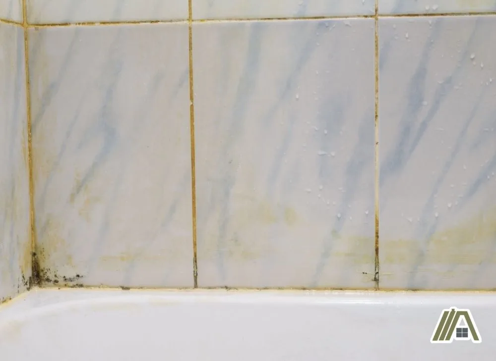 Mildew and molds on the tiles of bathroom.jpg