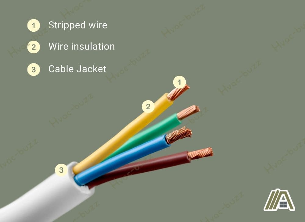 Parts of a wire, stripped wire, wire insulation and cable jacket.jpg