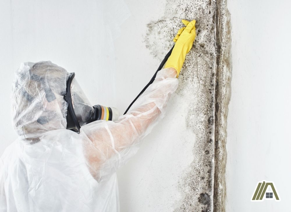 Woman wearing protective gear, respirator and gloves cleaning the molds on the wall.jpg