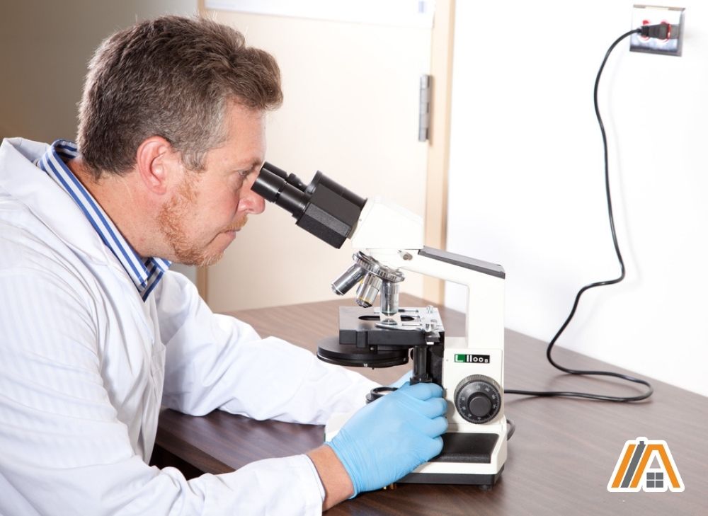 Man checking a specimen through a microscope