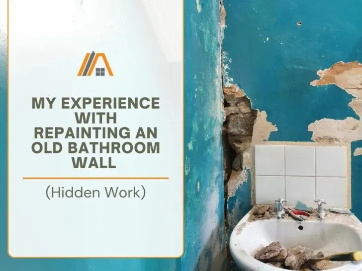 2079-My Experience With Repainting an Old Bathroom Wall (Hidden Work)