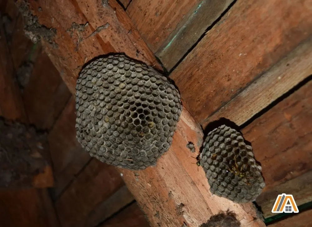 Insects house on an attic made of wood